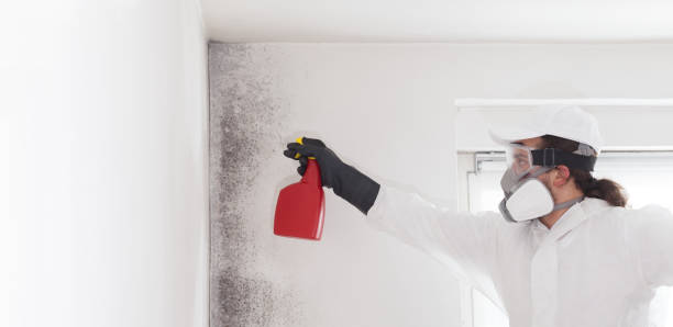 Best Mold Testing  in Santa Clara, UT